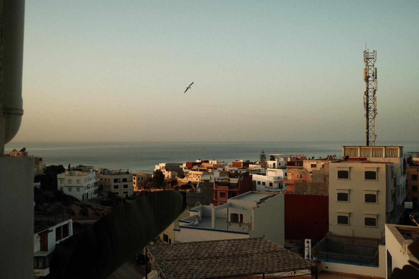 A gull over a coastal town at dusk, flat rooftops running down to a still sea.