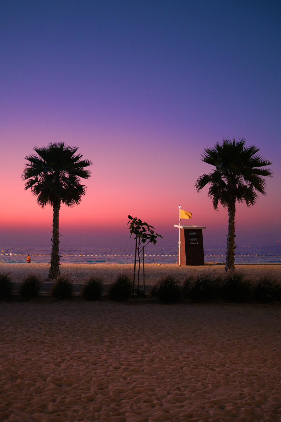 Two palms silhouetted against a pink and violet beach sky, a lifeguard hut between them.